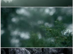 自然视频,捕捉地球之美