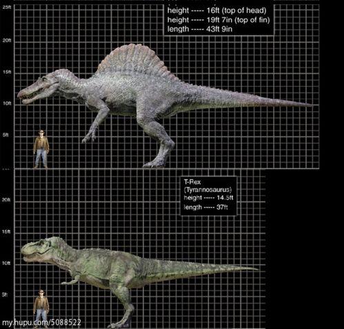 棘龙和霸王龙打架视频,棘龙与霸王龙生死对决
