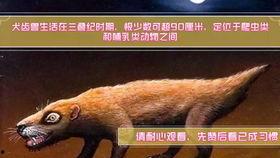 棘龙和霸王龙打架视频,棘龙与霸王龙生死对决