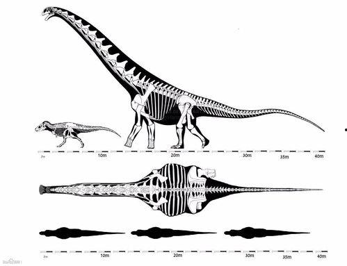 棘龙和霸王龙打架视频,棘龙与霸王龙生死对决